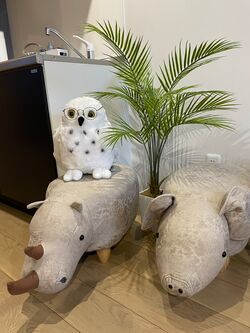 盛岡店 事務所 フクロウの眼鏡置きとオットマンのサイとブタ