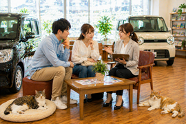 明るい中古車販売店の店内でソファに座りながらスタッフと男女のお客様が落ち着いた雰囲気で車の相談をしている安心感のある接客シーンと足元でくつろぐ猫たち