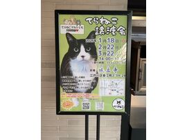 中古車,横須賀,自社ローン,頭金なし,カーマッチ,軽自動車,ローン審査,中古車販売