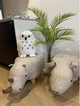 盛岡店 事務所 フクロウの眼鏡置きとオットマンのサイとブタ