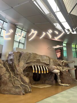 ビックバン　カーマッチ大阪河内長野店