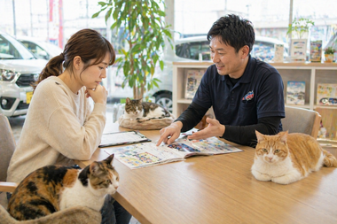 明るい店舗内のテーブルで単独の女性客が少し悩みながらスタッフの説明を受け安心していく相談シーンと足元やテーブル周りでさりげなく見守る猫たち