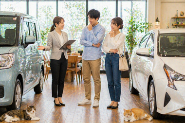 明るい中古車販売店の店内で軽自動車と普通車の間に立ちながらスタッフが男女のお客様に違いを説明し比較しながら悩んでいる相談シーンと足元でくつろぐ猫たち