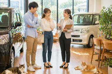 明るい中古車販売店の店内で車の横に立ちながらスタッフと男女のお客様が会話しながら前向きに相談している自然な接客シーンと足元でくつろぐ猫たち