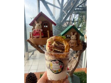 花の文化園 シルバニアファミリー 花の文化園 シルバニアファミリー