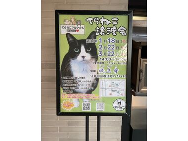 中古車,横須賀,自社ローン,頭金なし,カーマッチ,軽自動車,ローン審査,中古車販売