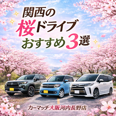 関西 桜ドライブ 桜 ドライブスポット 春 ドライブ 関西 琵琶湖 海津大崎 桜 京都 哲学の道 桜 奈良 吉野山 桜 河内長野 中古車 カーマッチ大阪河内長野店