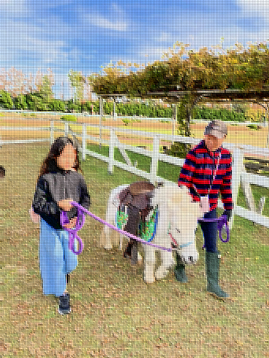 河北潟湖畔のファミリーフレンドリーなドライブ先「金沢競馬場」