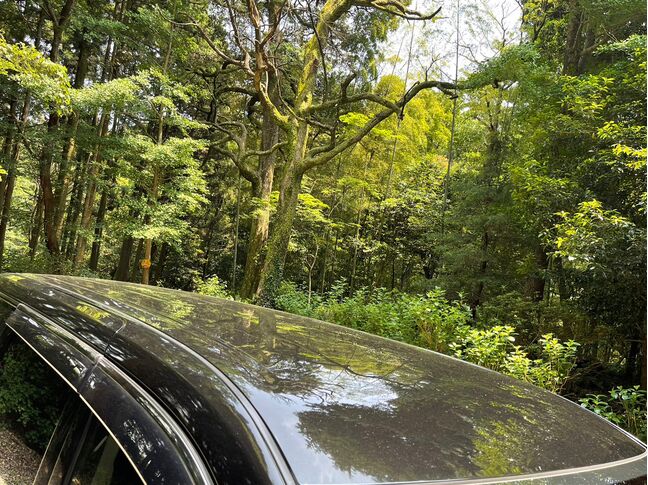 【安心】納車後のトラブルが発生しても、当社独自の保証サービスにご加入頂ければ修理ができるので、安心してお乗りいただくことができます。