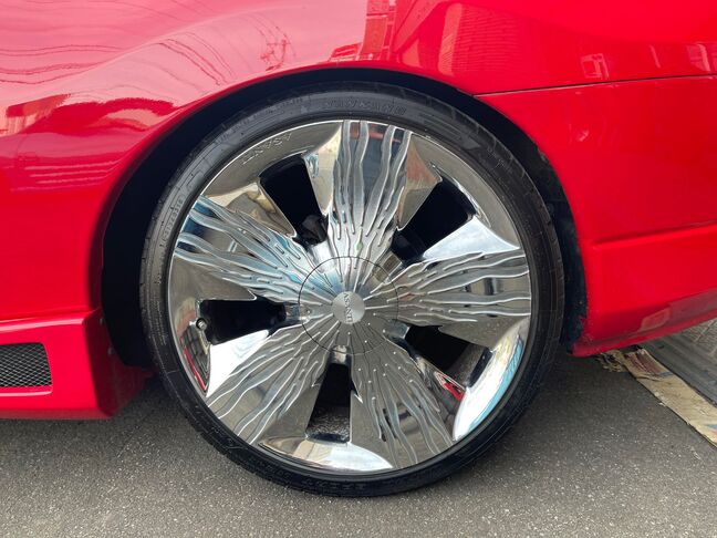 アサンティ・ゼブラ・20AWはOP設定