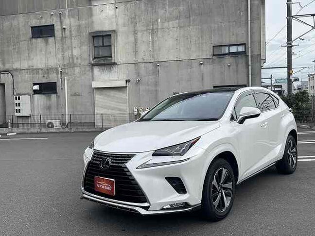 こちらの車両は頭金が必要になります。