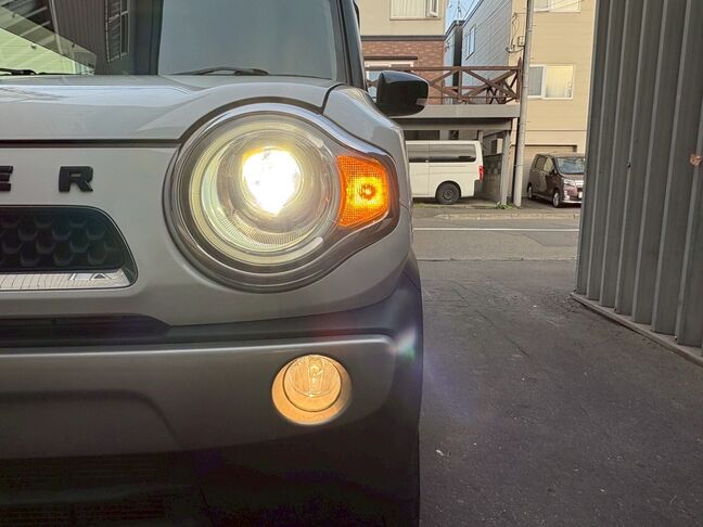 売り切れ御免、早いもの勝ちです。