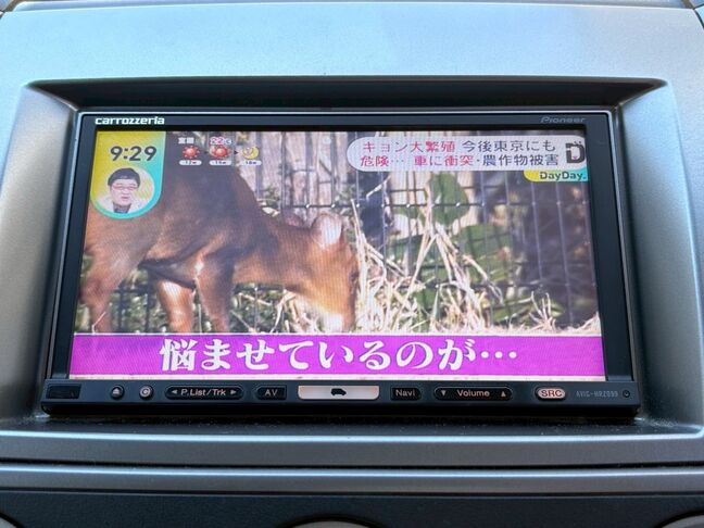 経済的な格安カーは不況の世の中の救世主です。